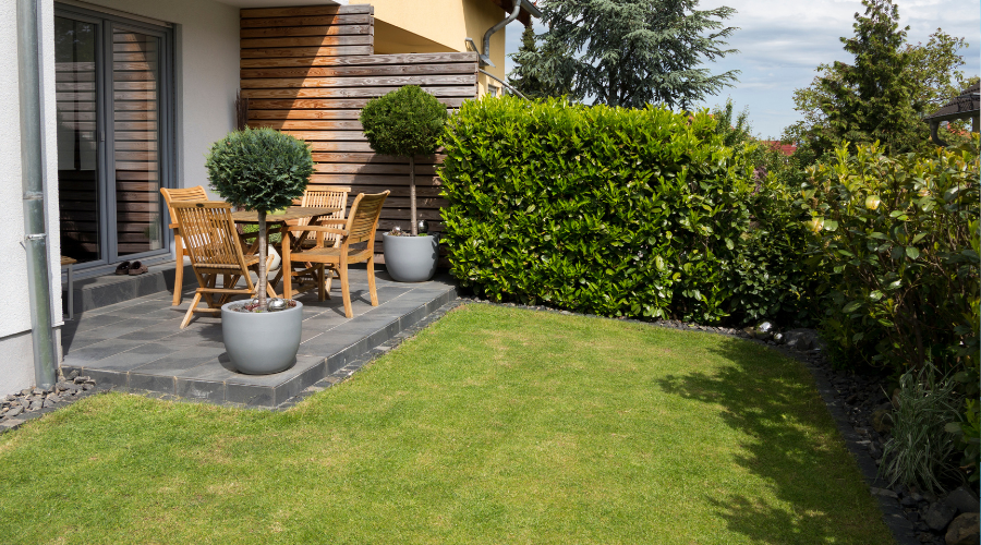 sans titre (900 x 500 px)